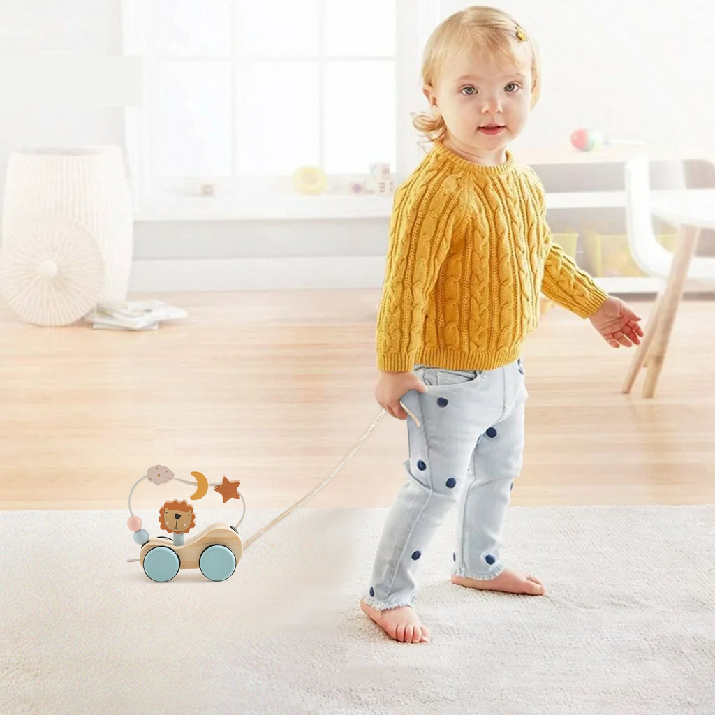 Beaded Wooden Logic Toy