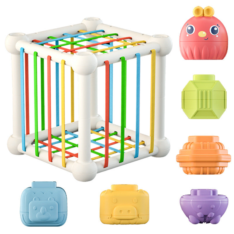 Montessori Rainbow Learning Cube